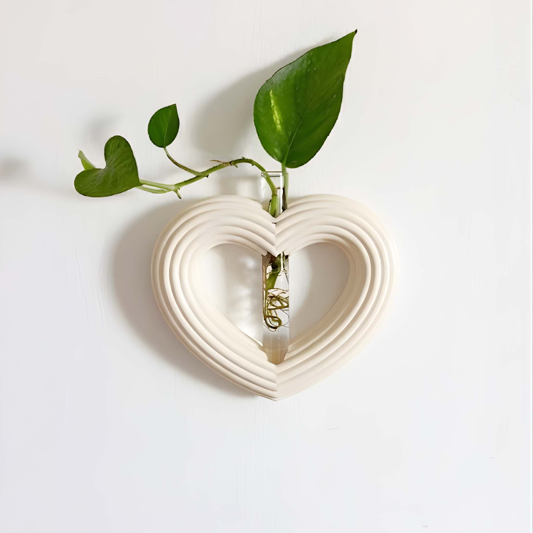 מתקן ייחורים מגנטי/ לתלייה | לב ענק