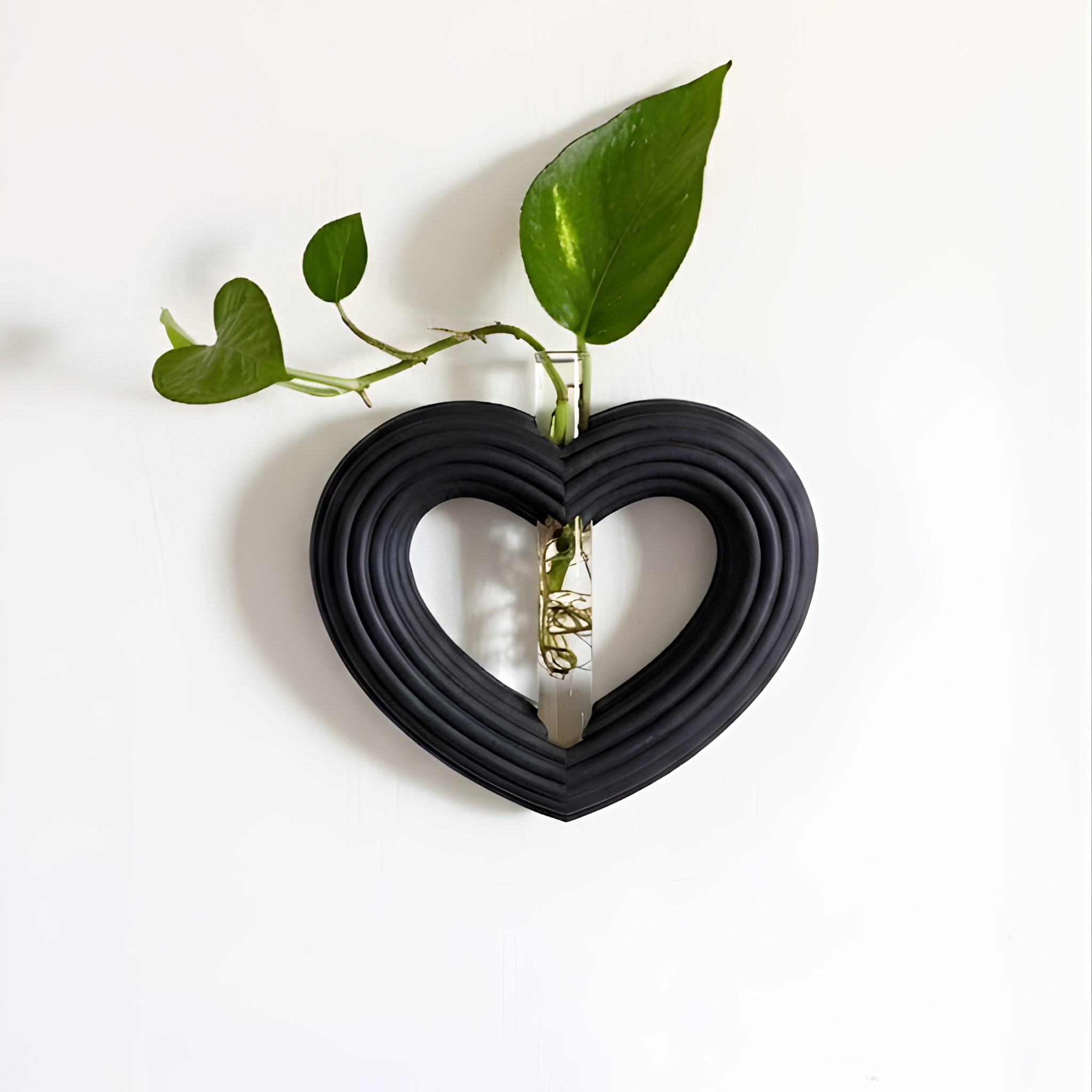 מתקן ייחורים מגנטי/ לתלייה | לב ענק