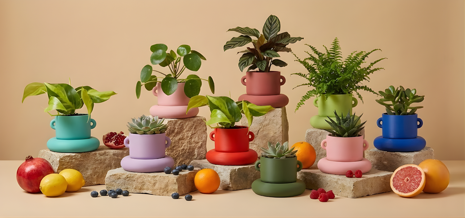 הייחורים של רעות׳ס