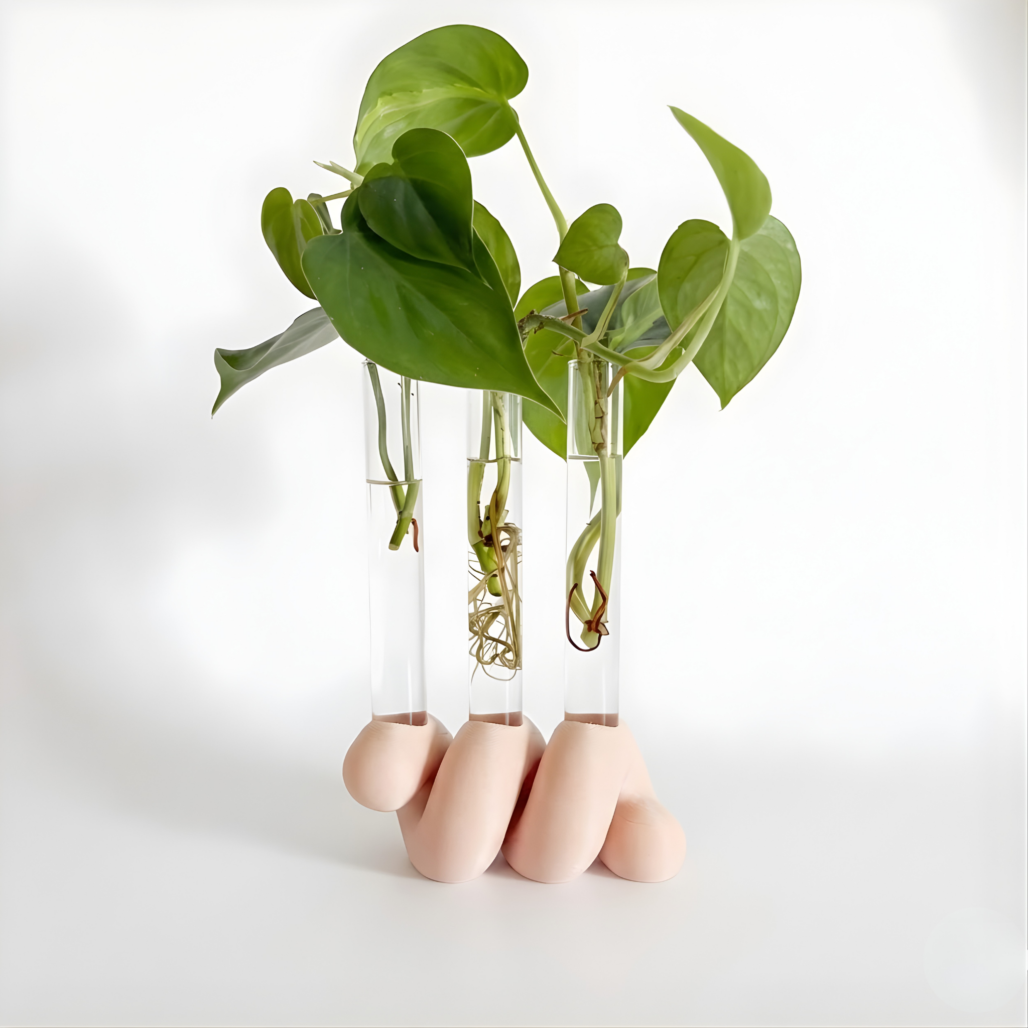 מתקן ייחורים שולחני | ספרינג