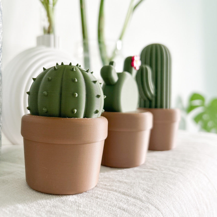 הקקטוסים של רעות׳ס