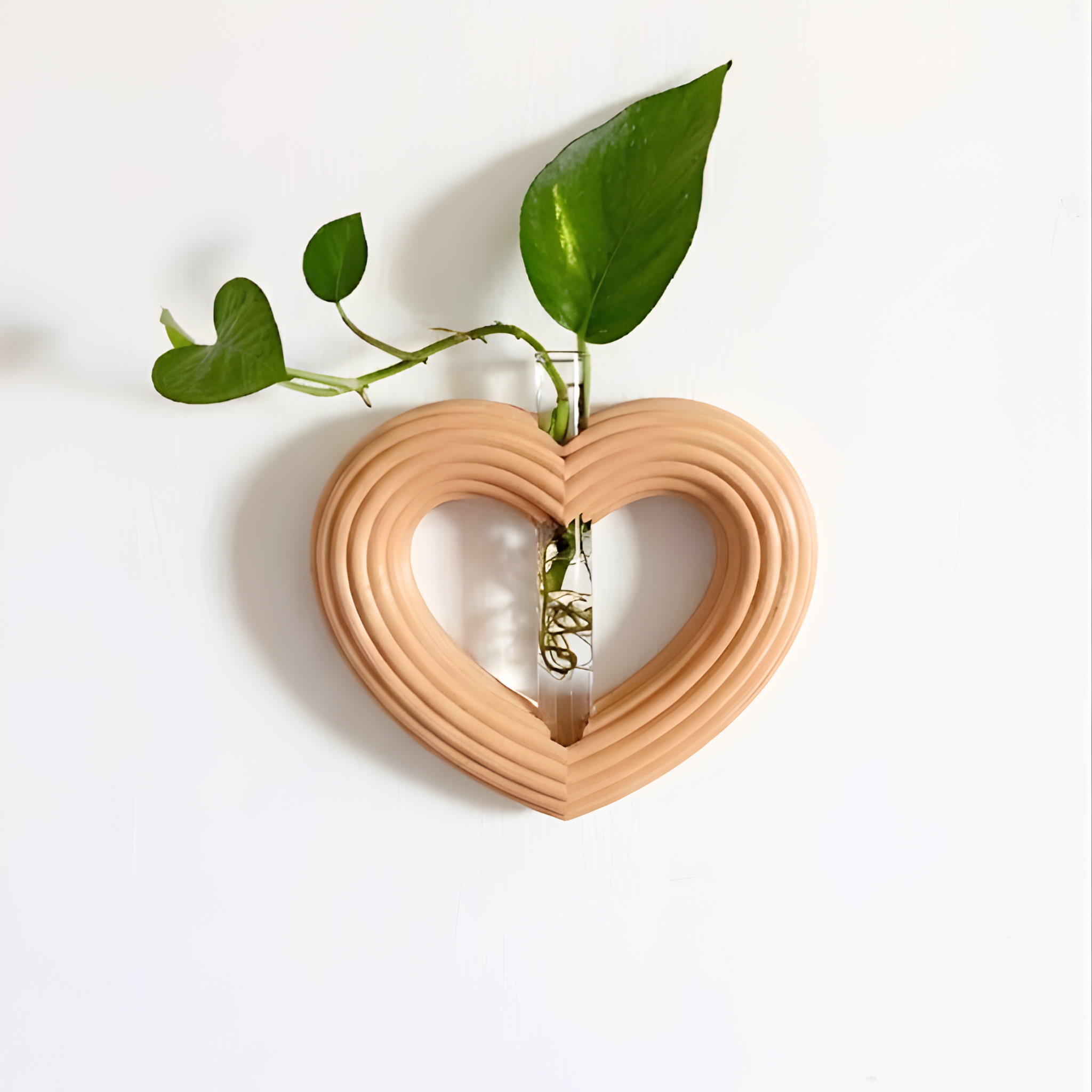 מתקן ייחורים מגנטי/ לתלייה | לב ענק