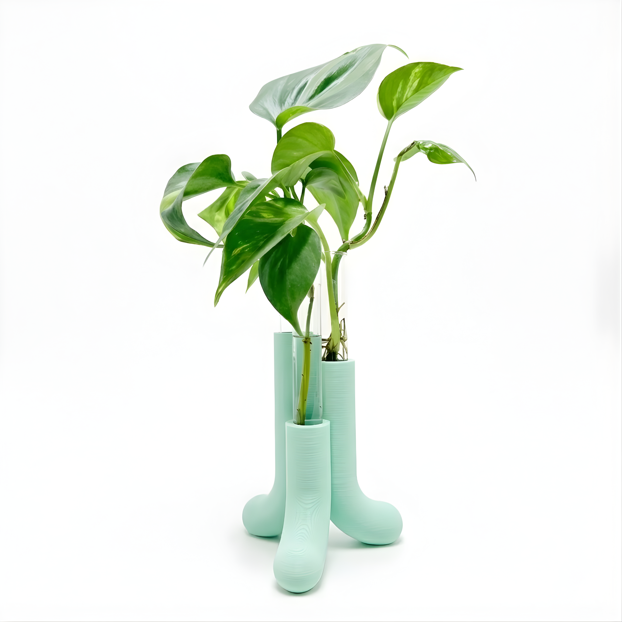 מתקן ייחורים שולחני | טיוב