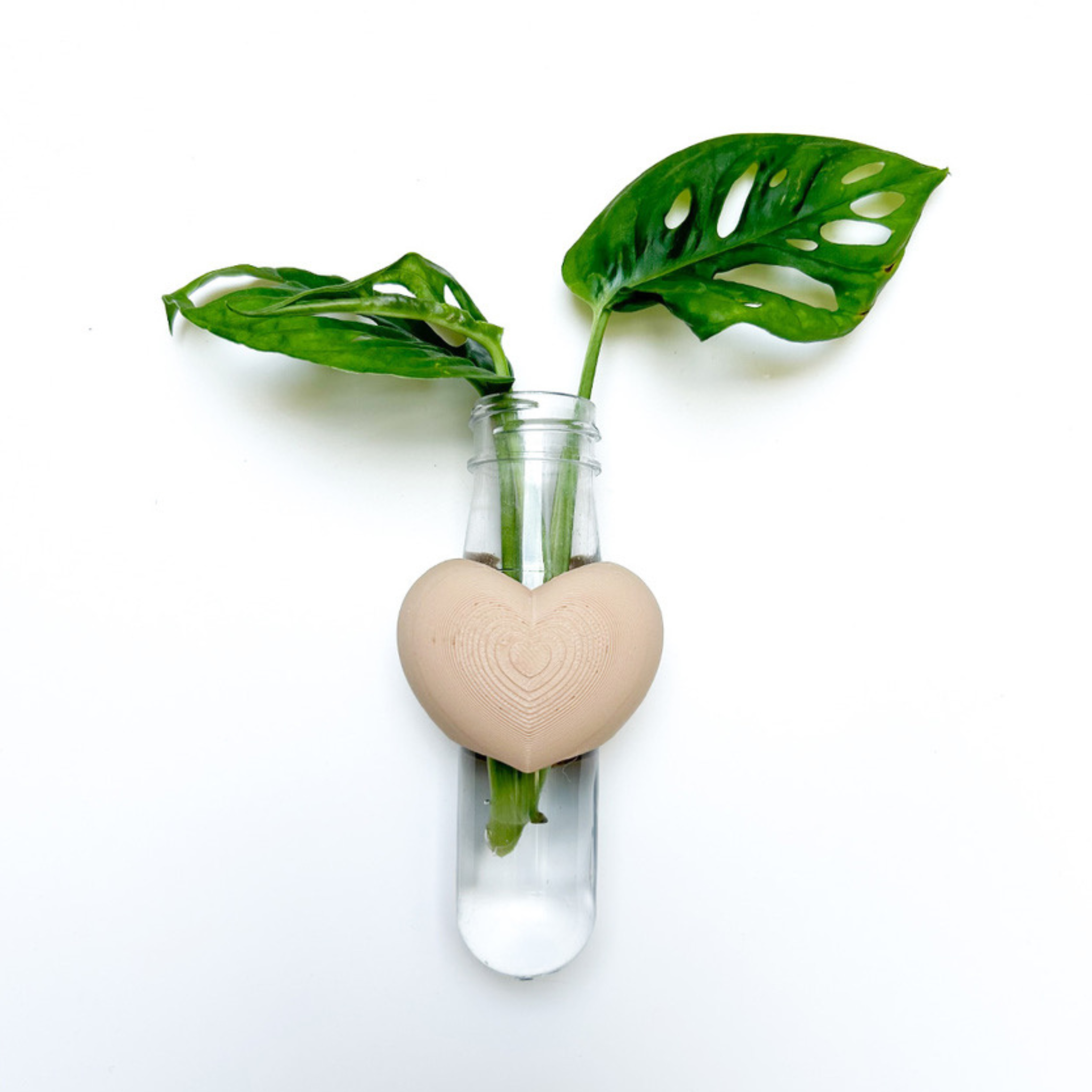 מתקן ייחורים מגנטי | לב