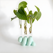 מתקן ייחורים שולחני | ספרינג