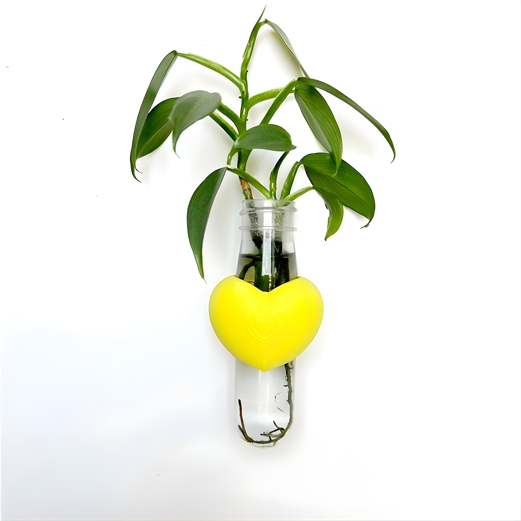 מתקן ייחורים מגנטי | לב