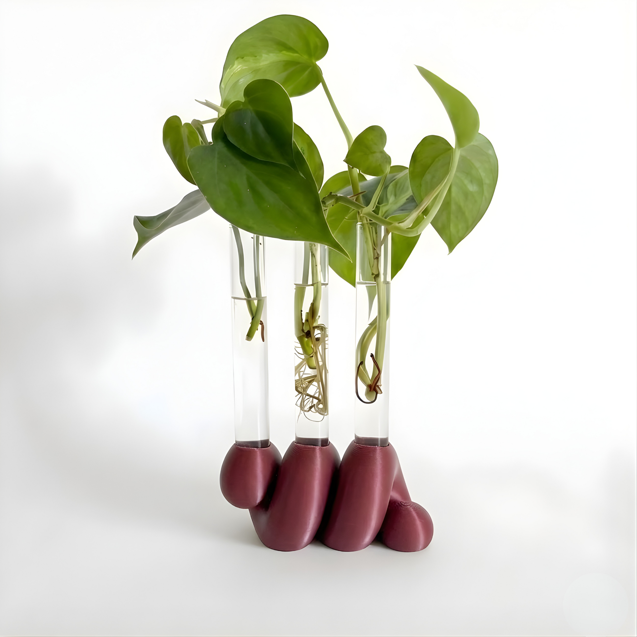 מתקן ייחורים שולחני | ספרינג