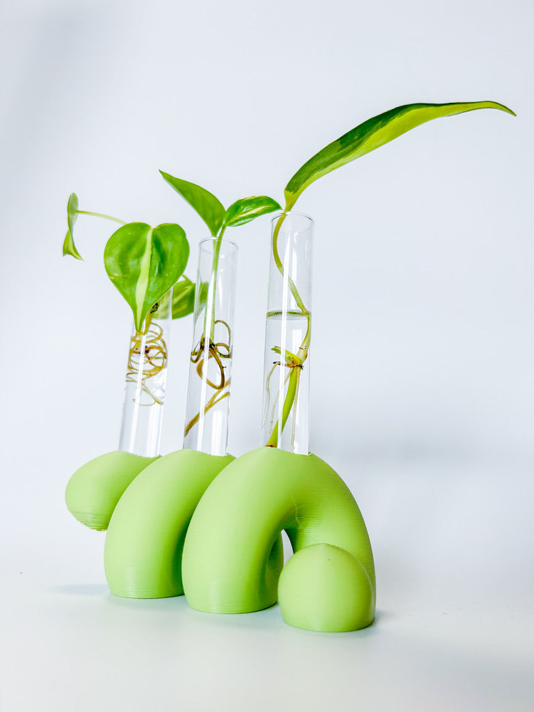 מתקן ייחורים שולחני | ספרינג