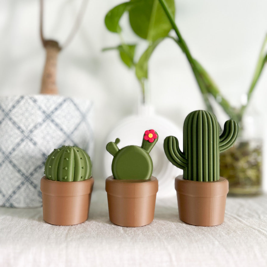 הקקטוסים של רעות׳ס