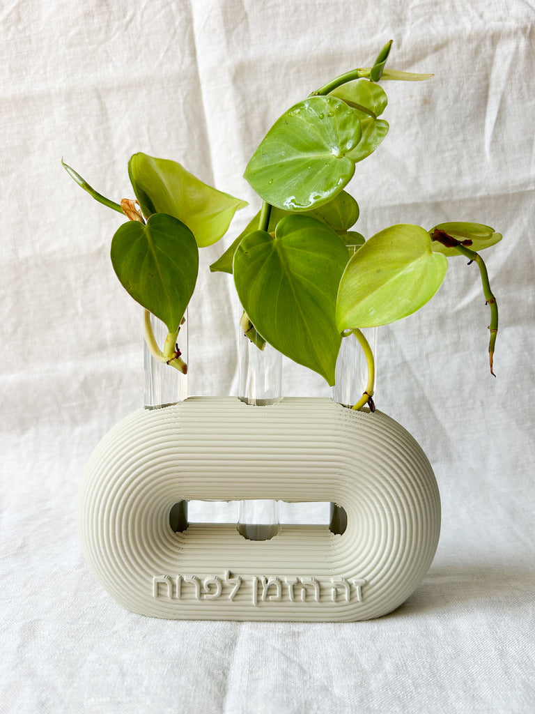 הייחורים של רעות׳ס