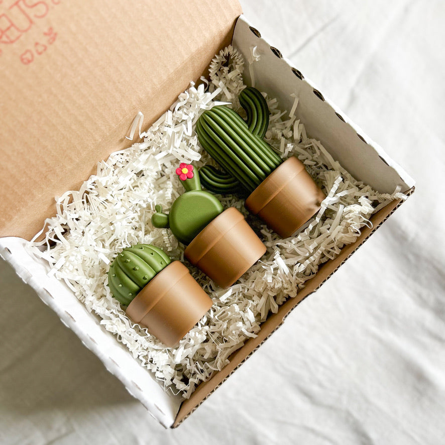 הקקטוסים של רעות׳ס