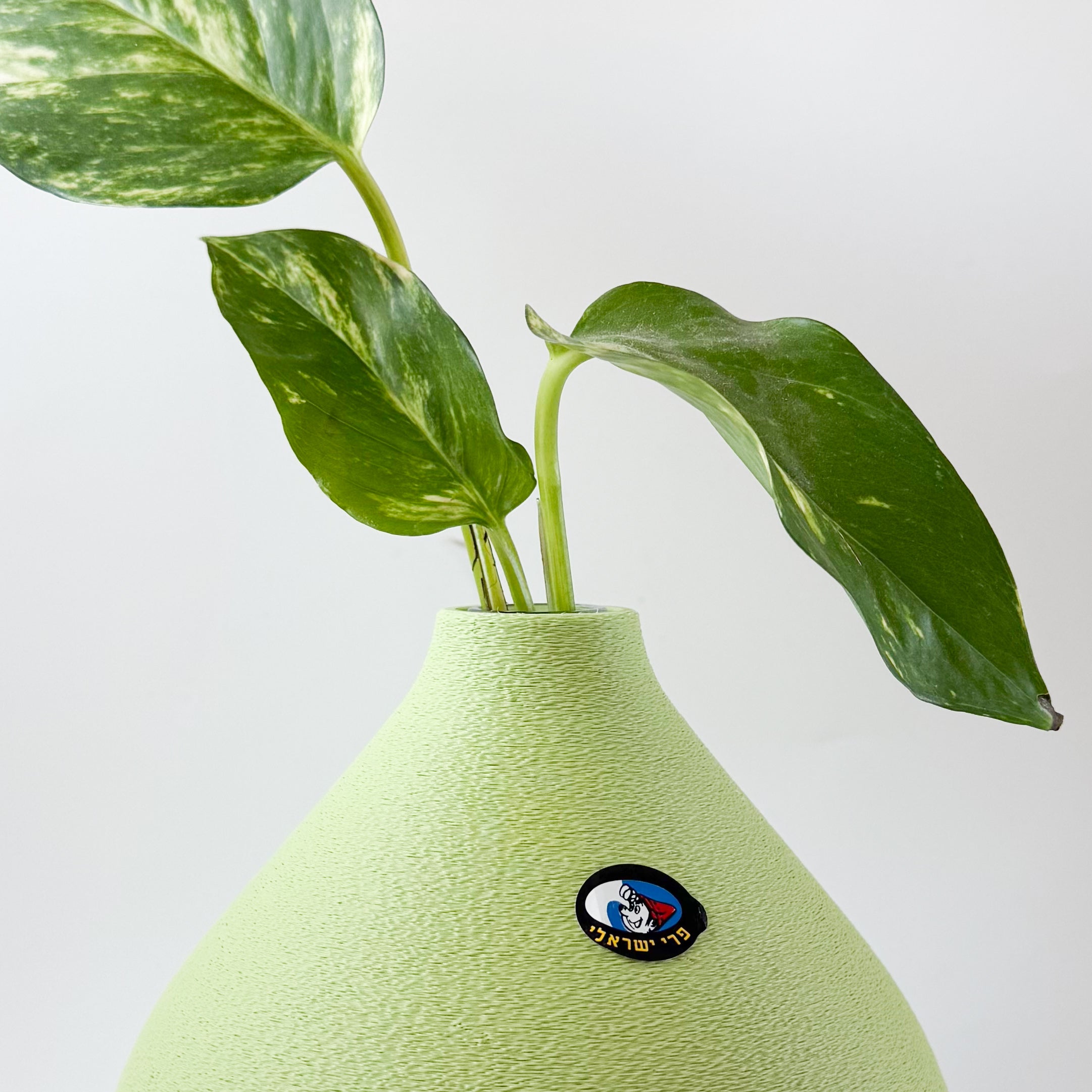 אגרטל פומלה ״סחוט טרי״ | יריד החלומות של נתנאלה