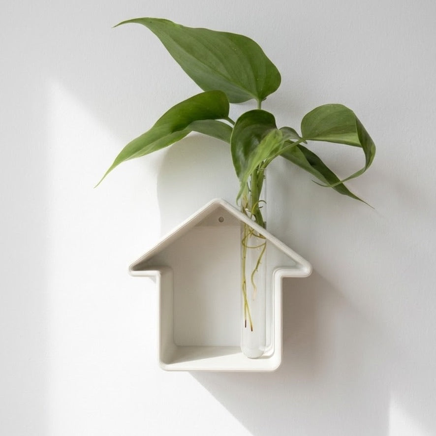 מתקן ייחורים שולחני/ לתלייה | home sweet home