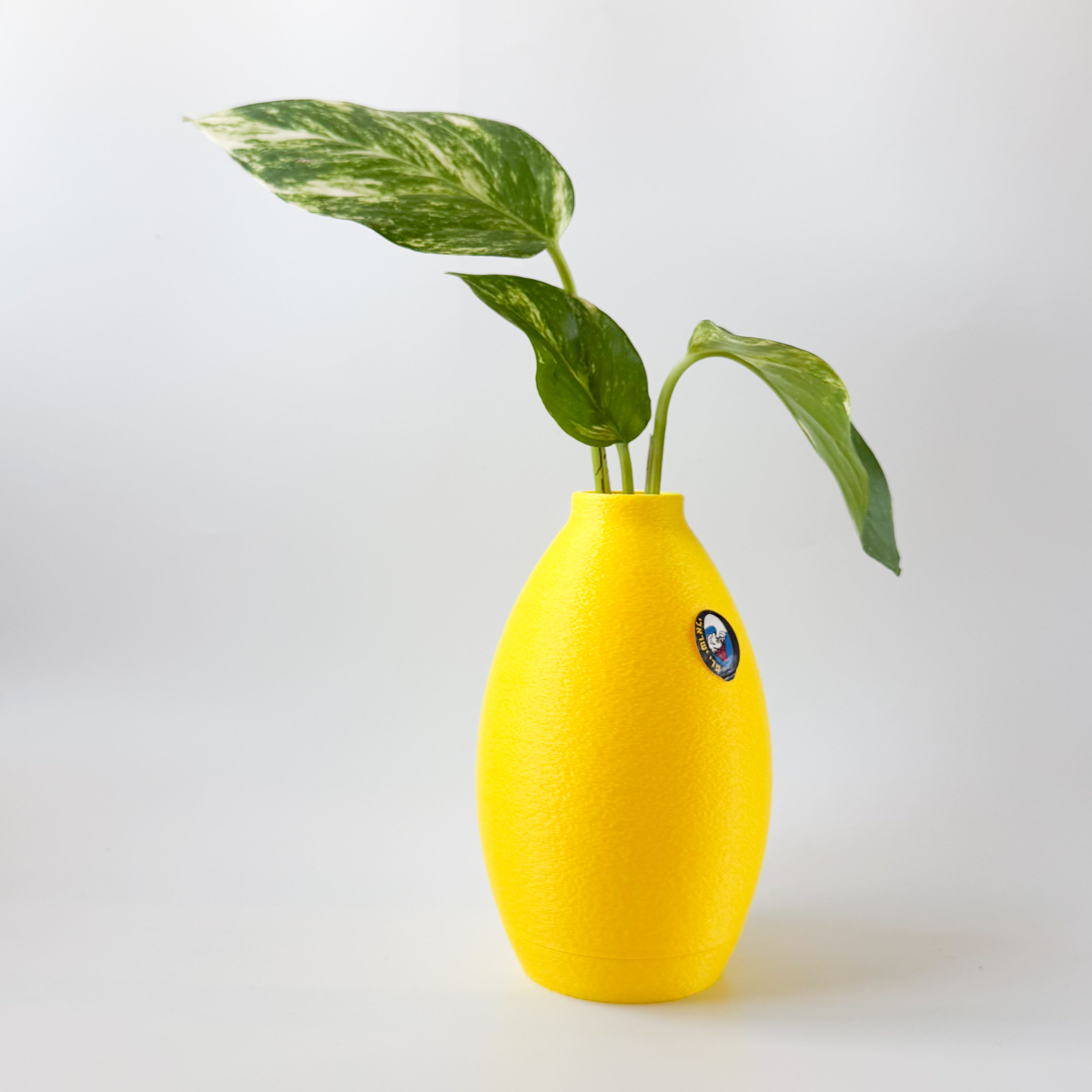 אגרטל לימון ״סחוט טרי״ | יריד החלומות של נתנאלה