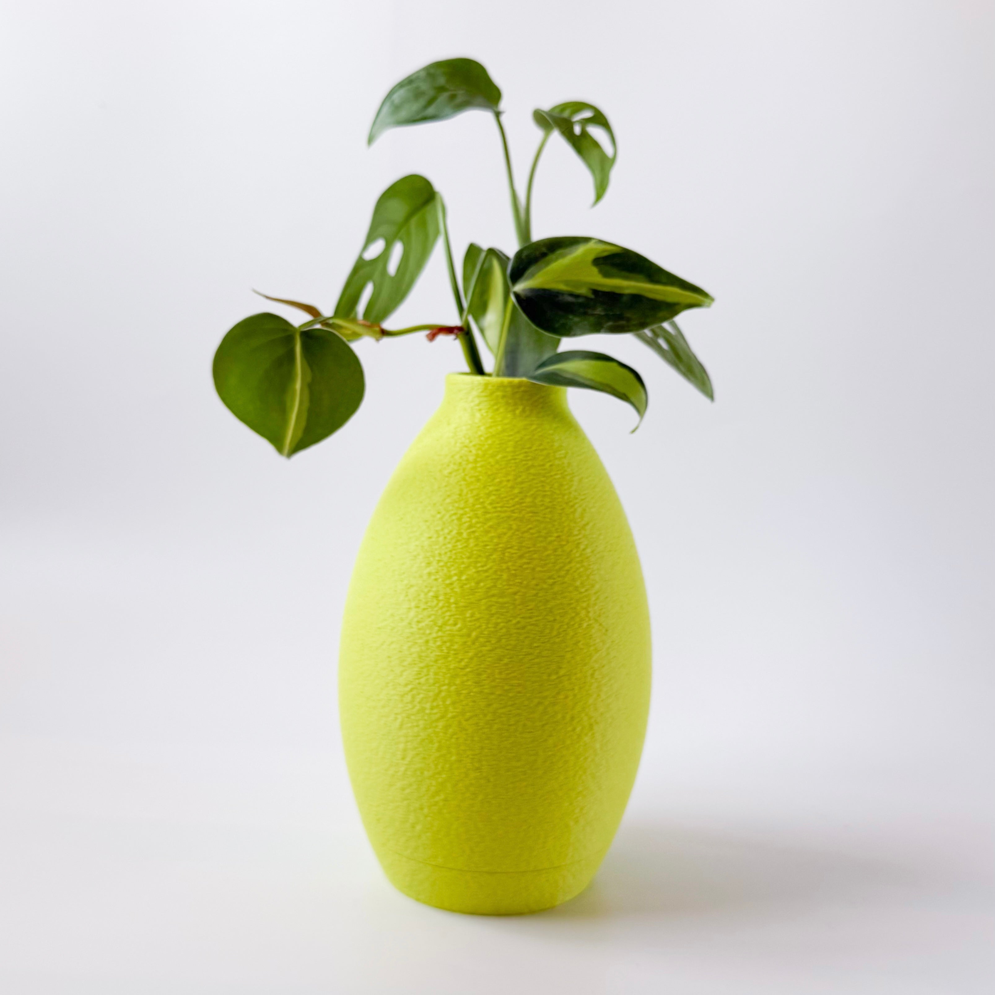 אגרטל ליים ״סחוט טרי״ | יריד החלומות של נתנאלה