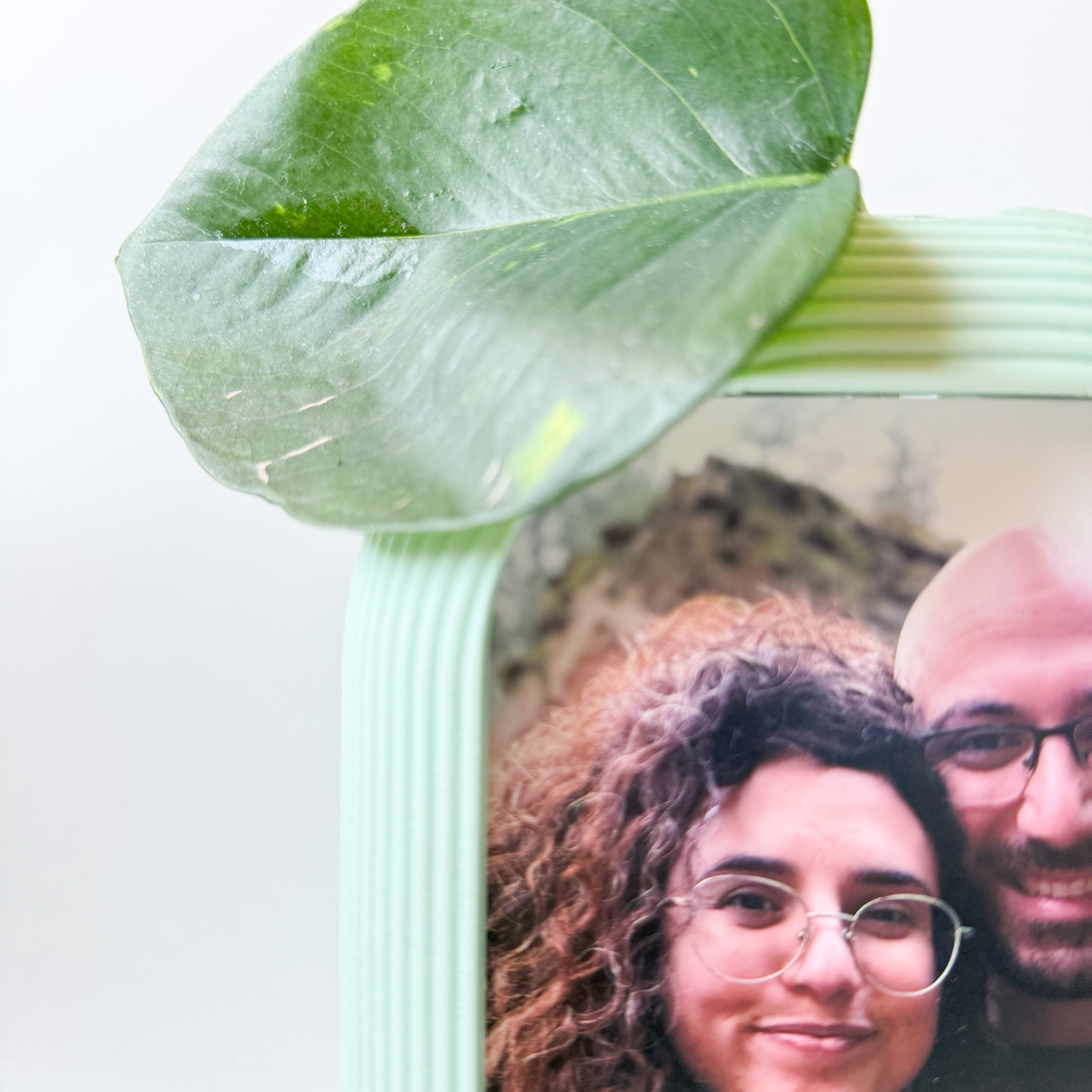 מסגרת צומחת | פורטרט