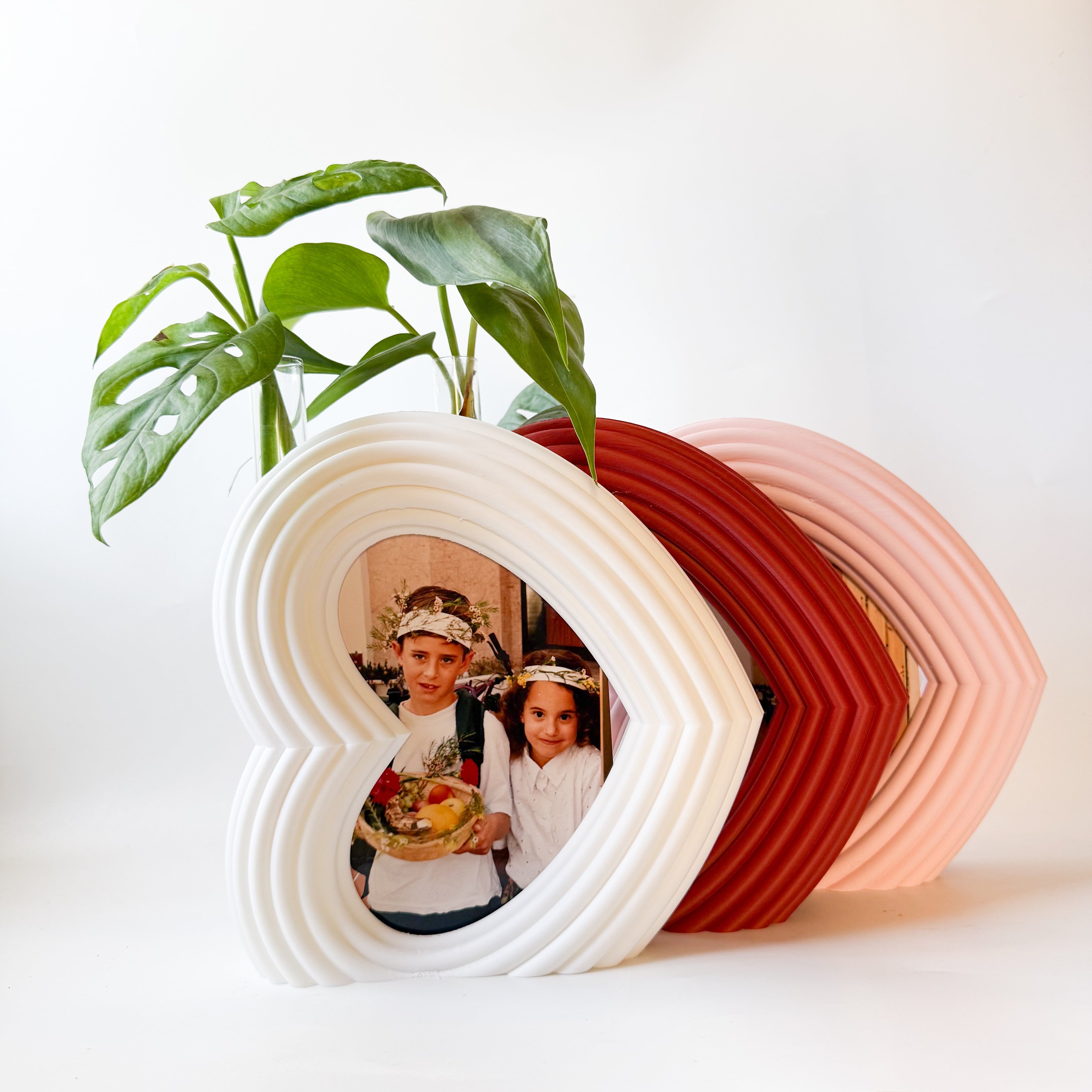 מסגרת לב צומחת