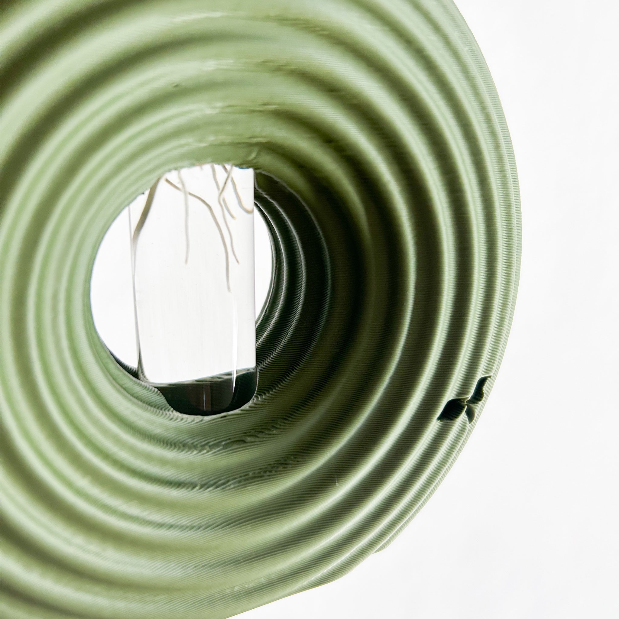 מתקן ייחורים שולחני | רימון