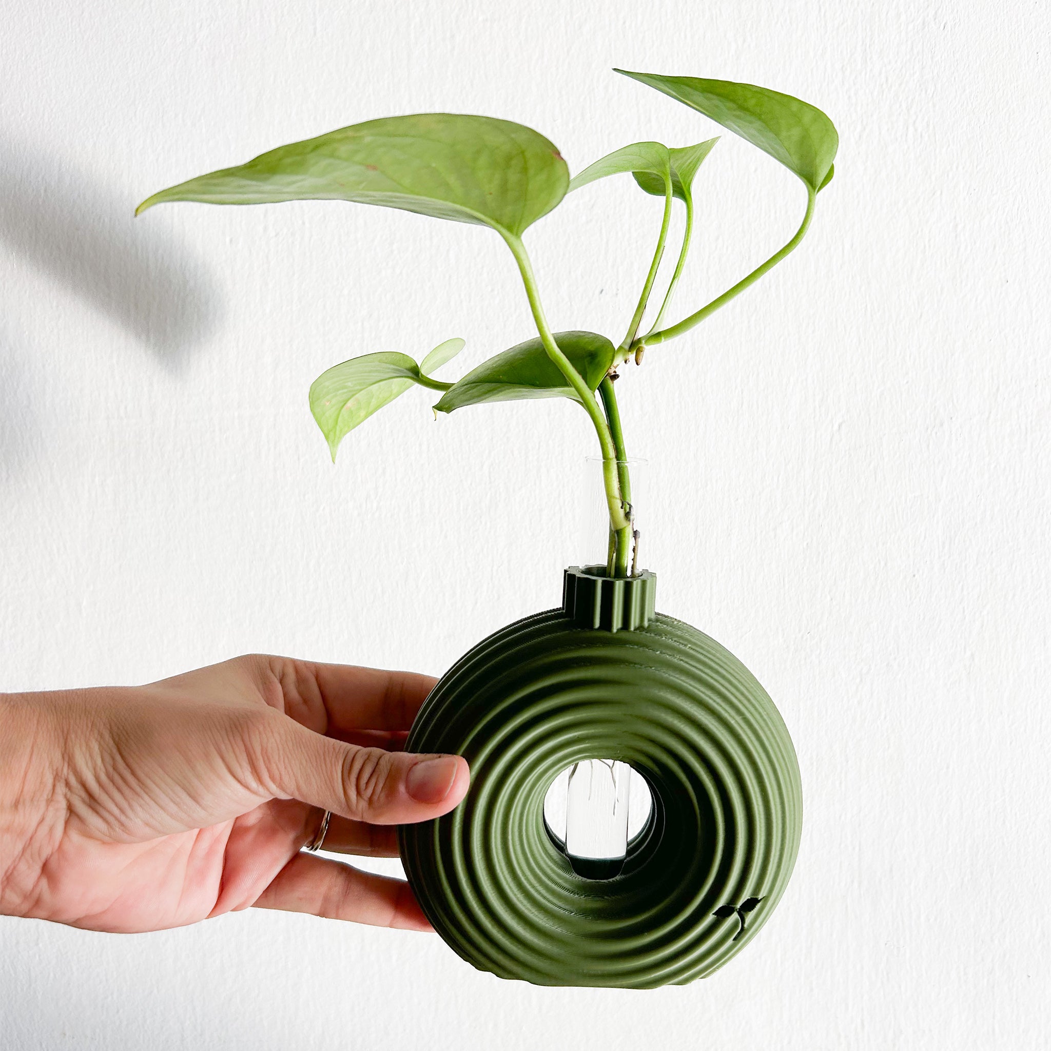 מתקן ייחורים שולחני | רימון