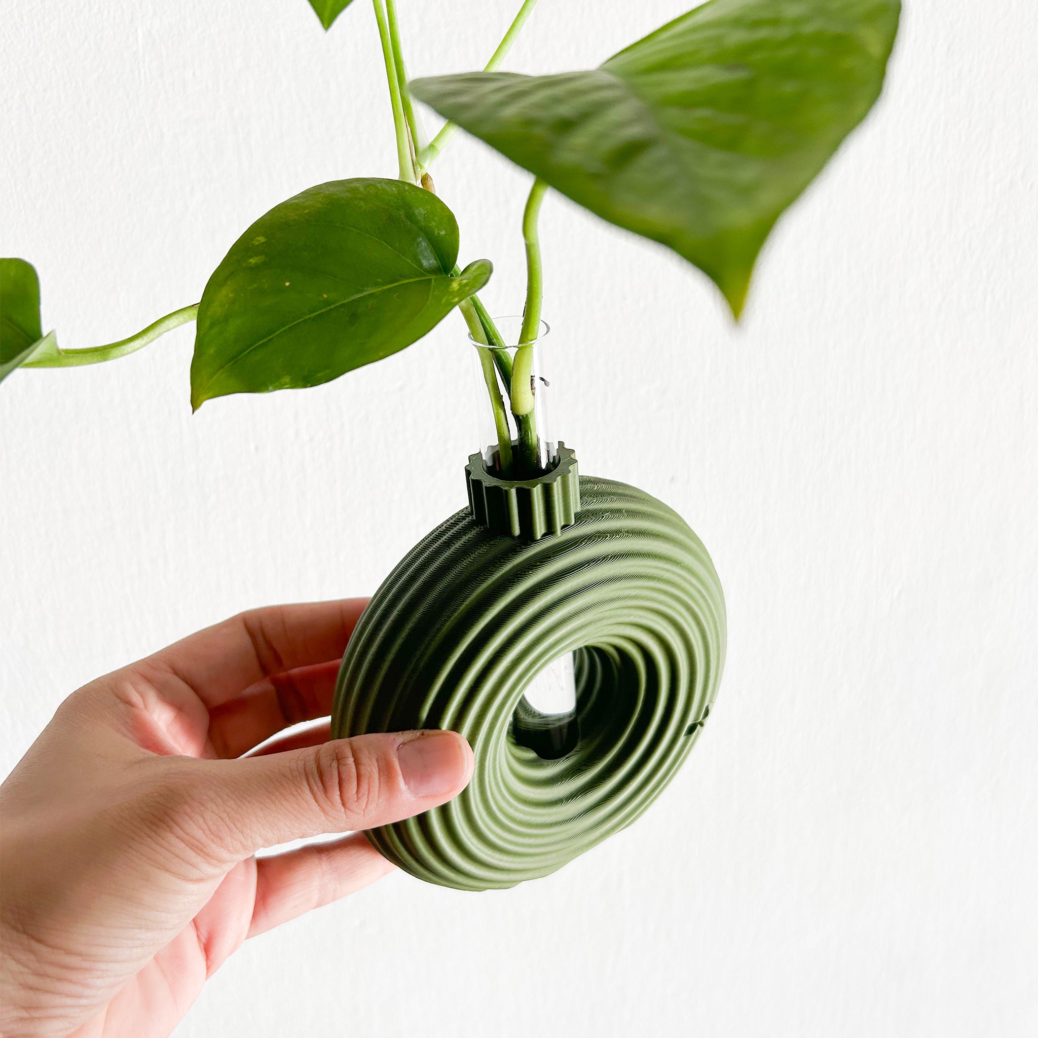 מתקן ייחורים שולחני | רימון