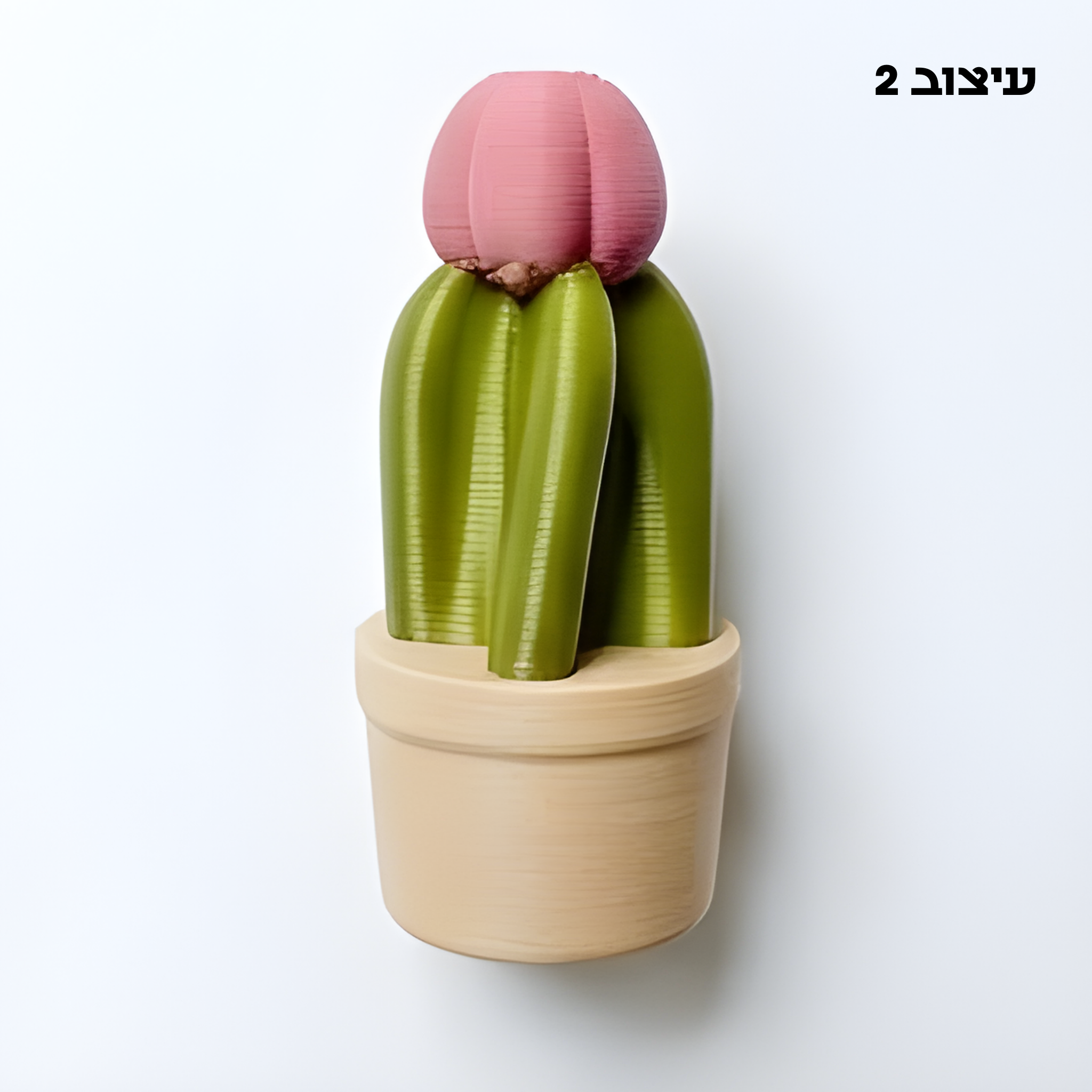 מגנט סוקולנט