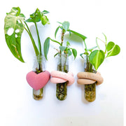 מתקן ייחורים מגנטי | תודה מכל הלב