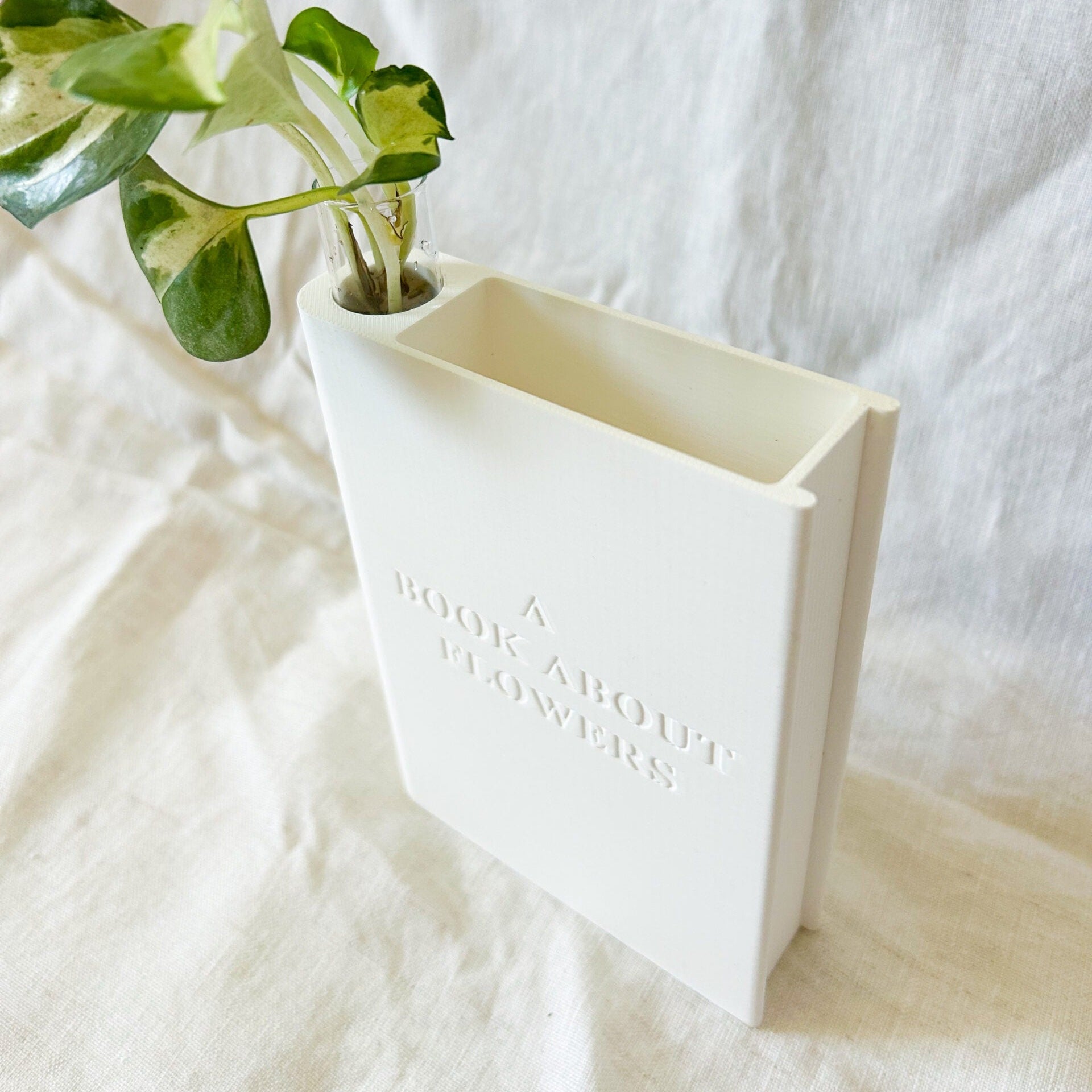 אגרטל ייחורים בצורת ספר