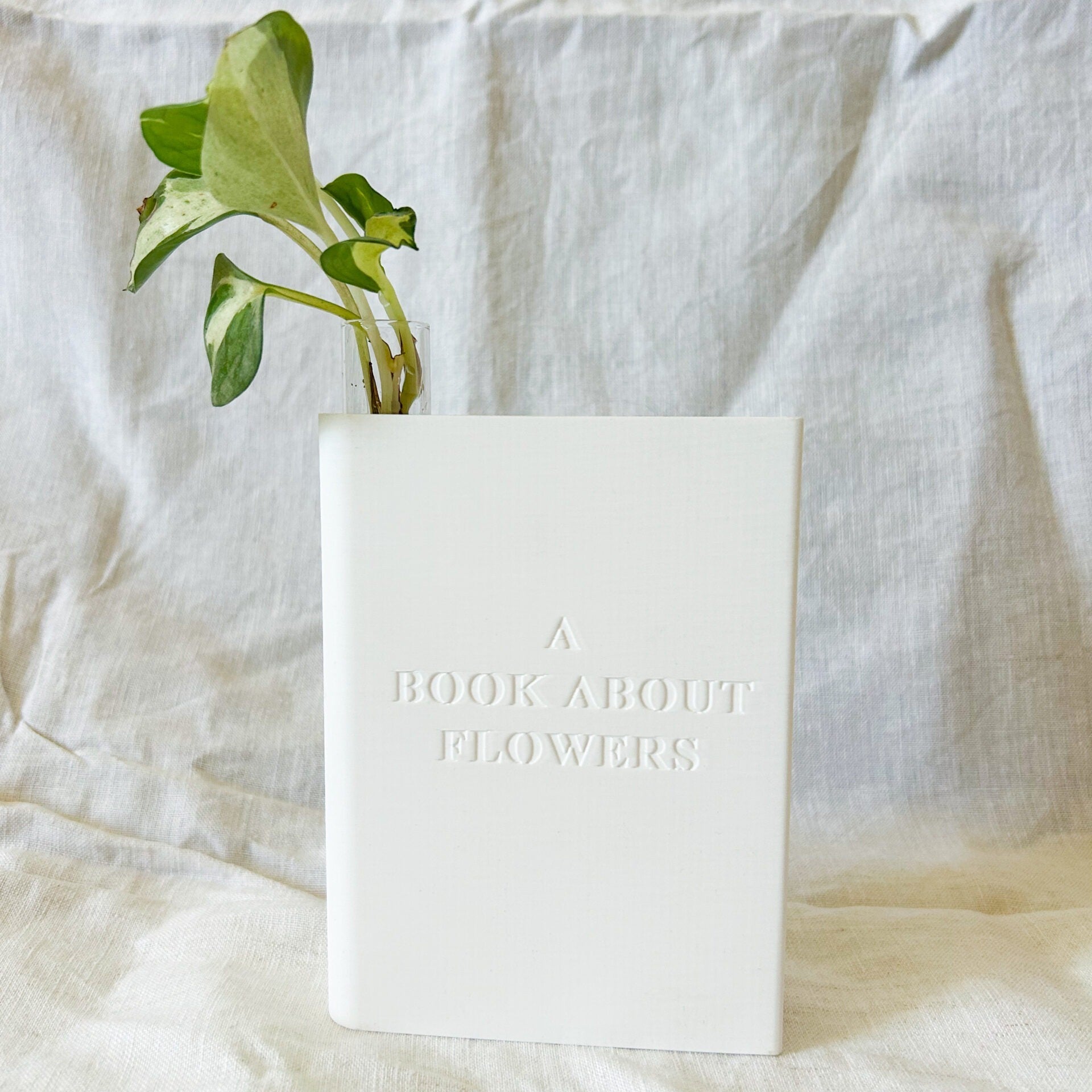 אגרטל ייחורים בצורת ספר