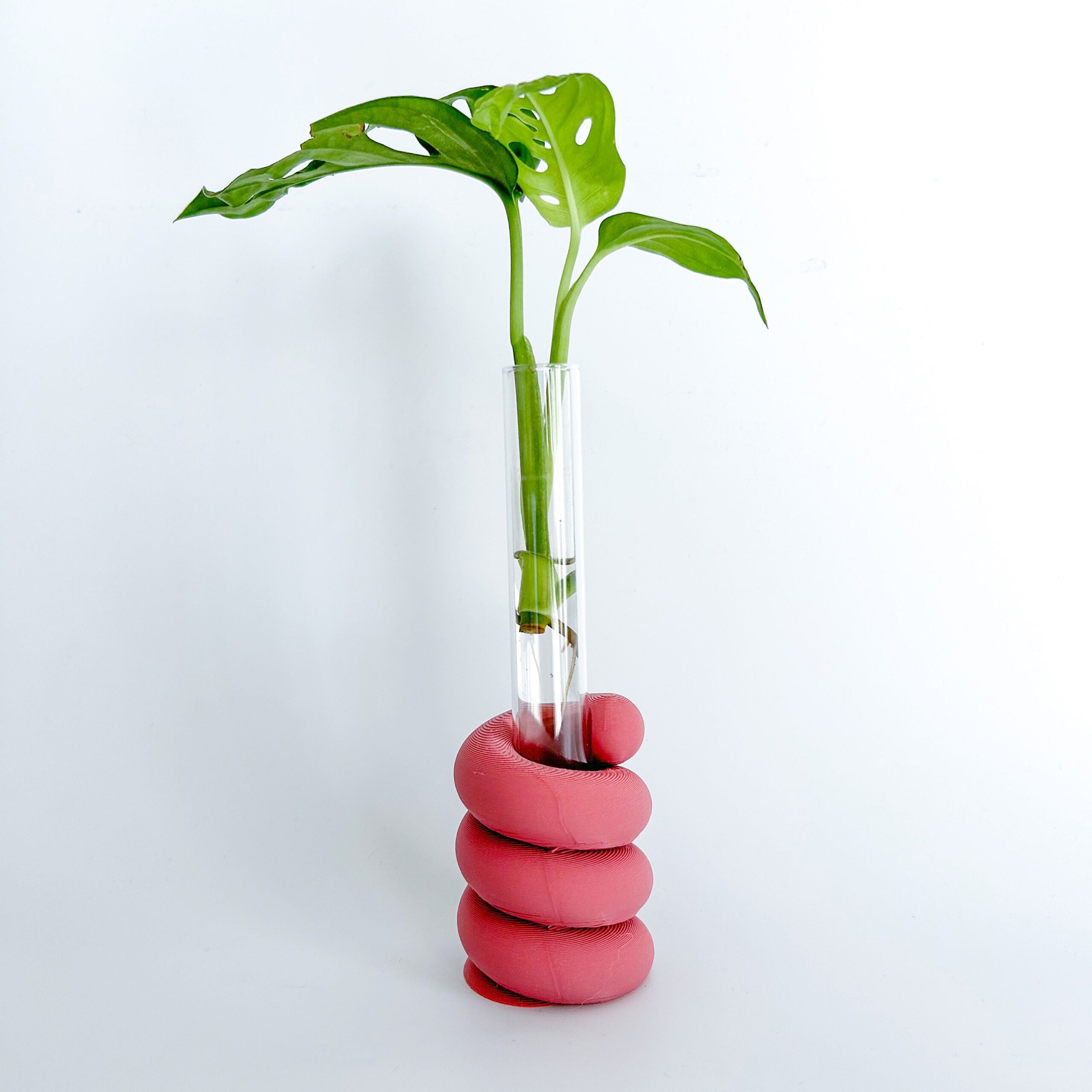 מתקן ייחורים שולחני | ספירל