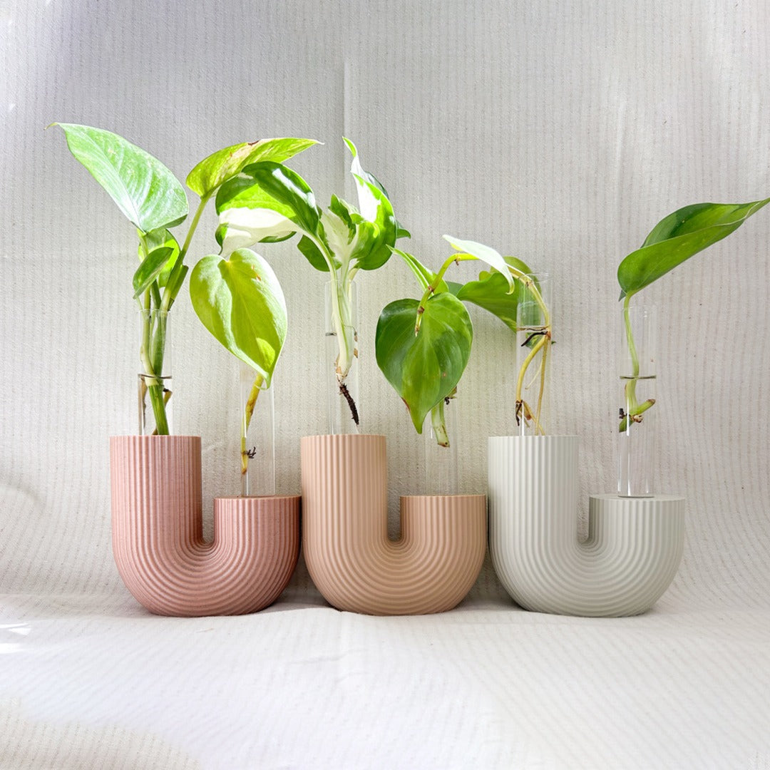 מתקן ייחורים שולחני | U אסימטרי