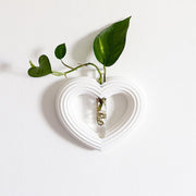 מתקן ייחורים מגנטי/ לתלייה | לב ענק