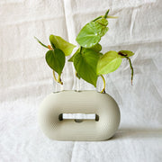 מתקן ייחורים "טריו" | 3 מבחנות זכוכית