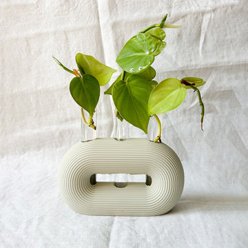 מתקן ייחורים "טריו" | 3 מבחנות זכוכית