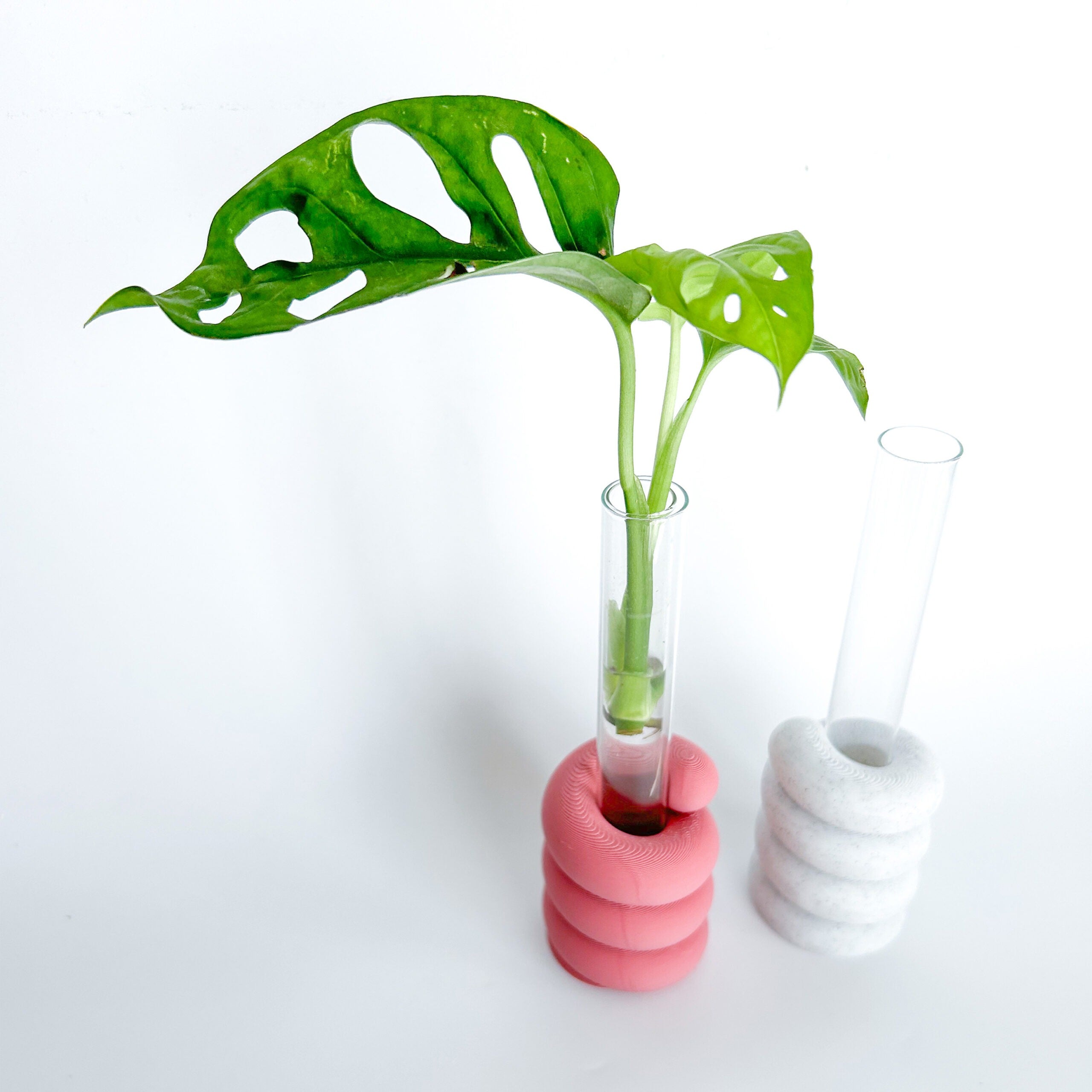 מתקן ייחורים שולחני | ספירל