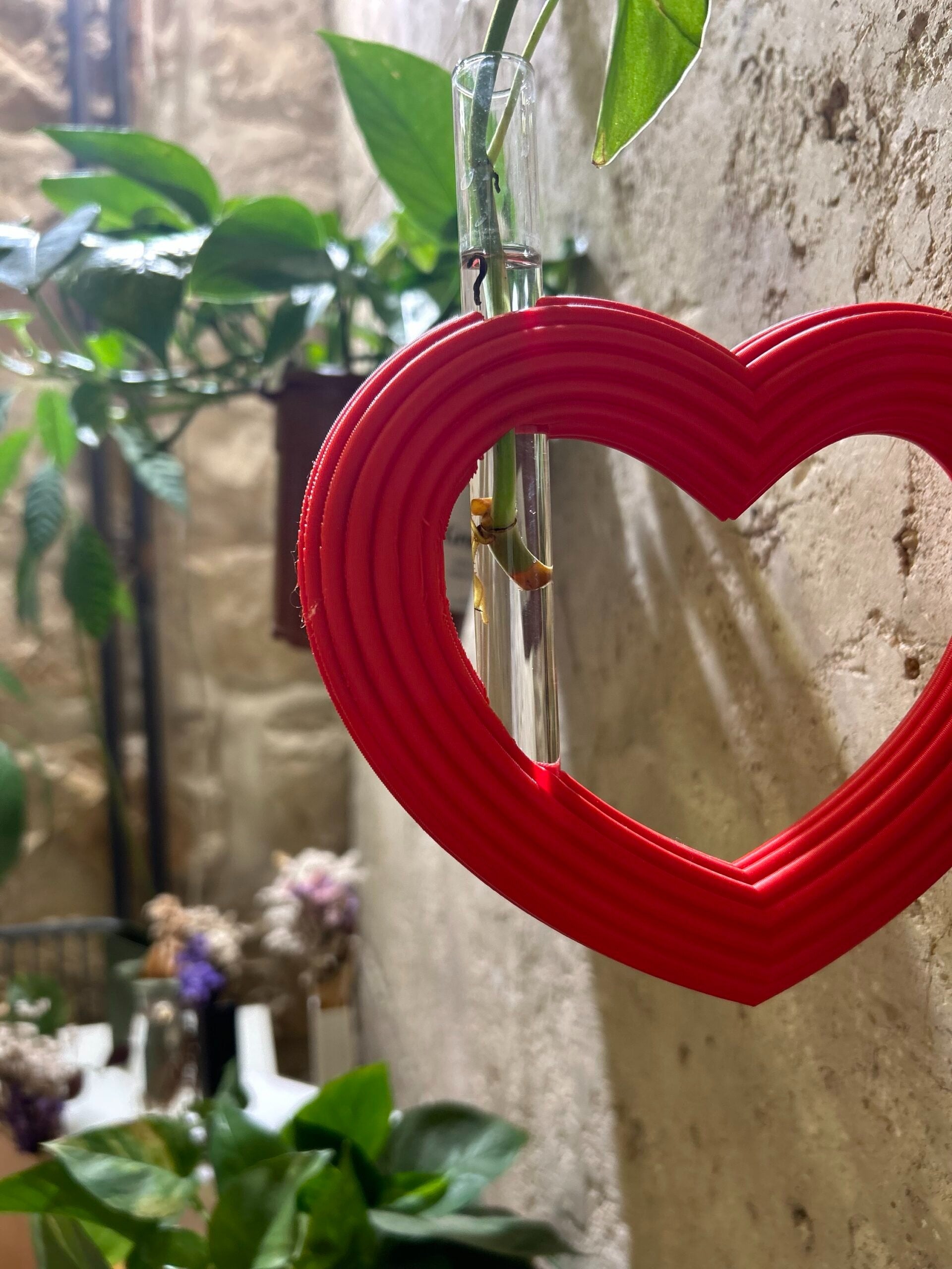 מתקן ייחורים לתלייה | Hook לב XL