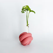 מתקן ייחורים שולחני | KNOT