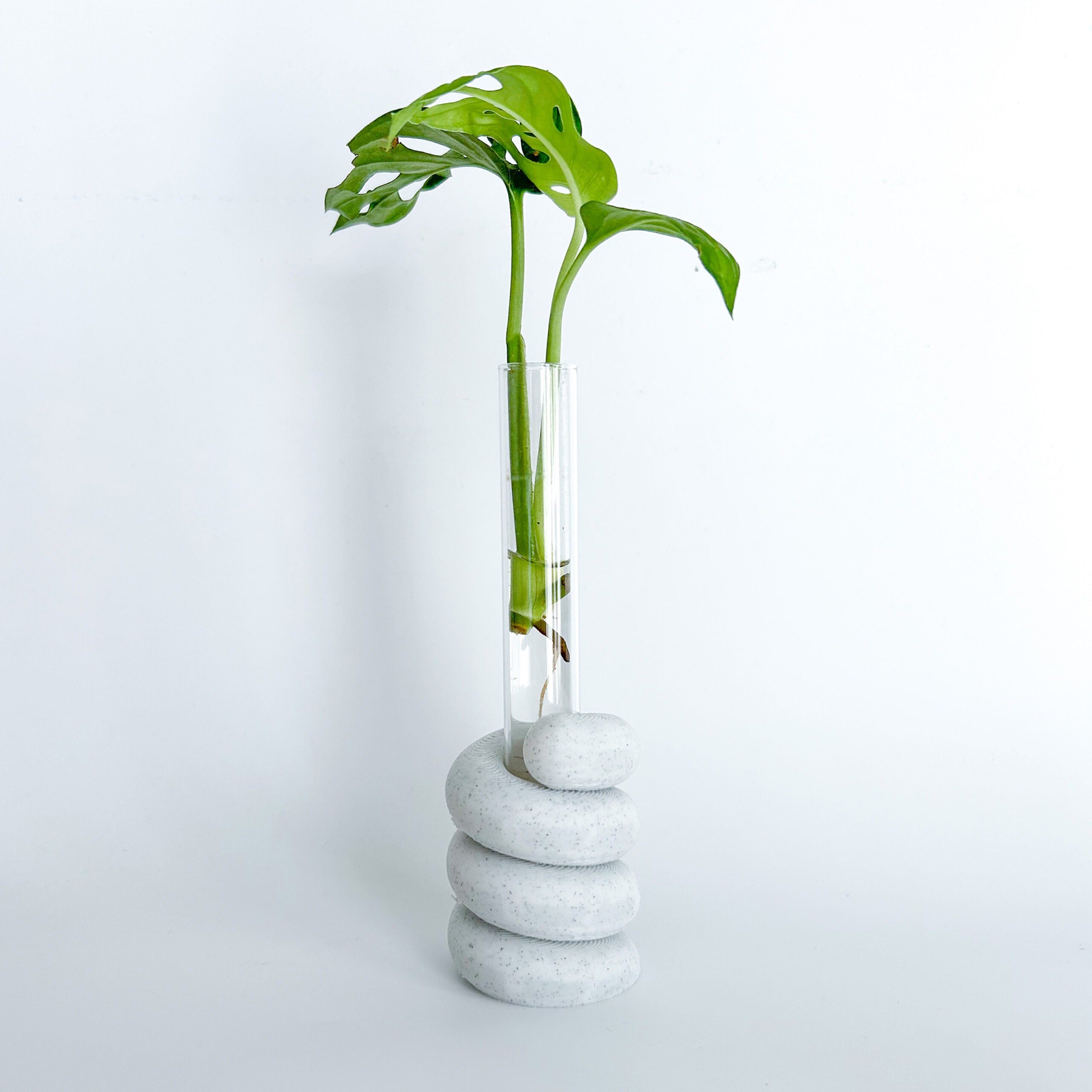 מתקן ייחורים שולחני | ספירל