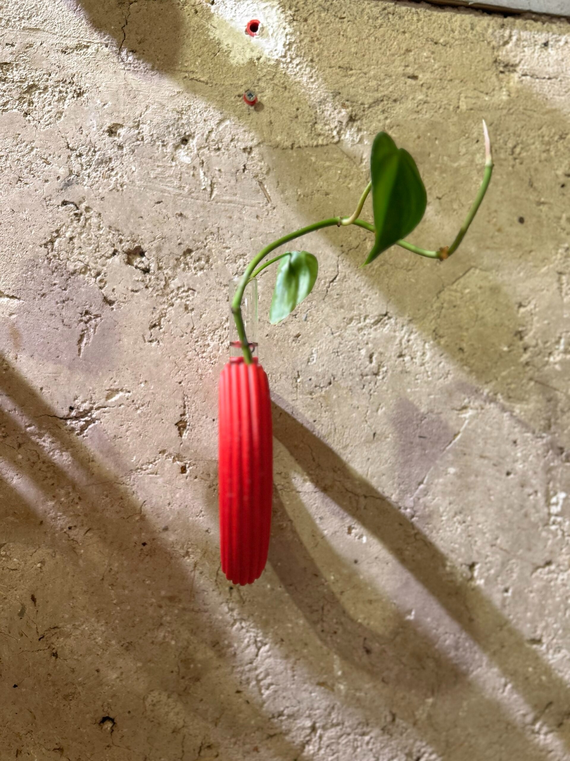 מתקן ייחורים לתלייה | Hook לב XL