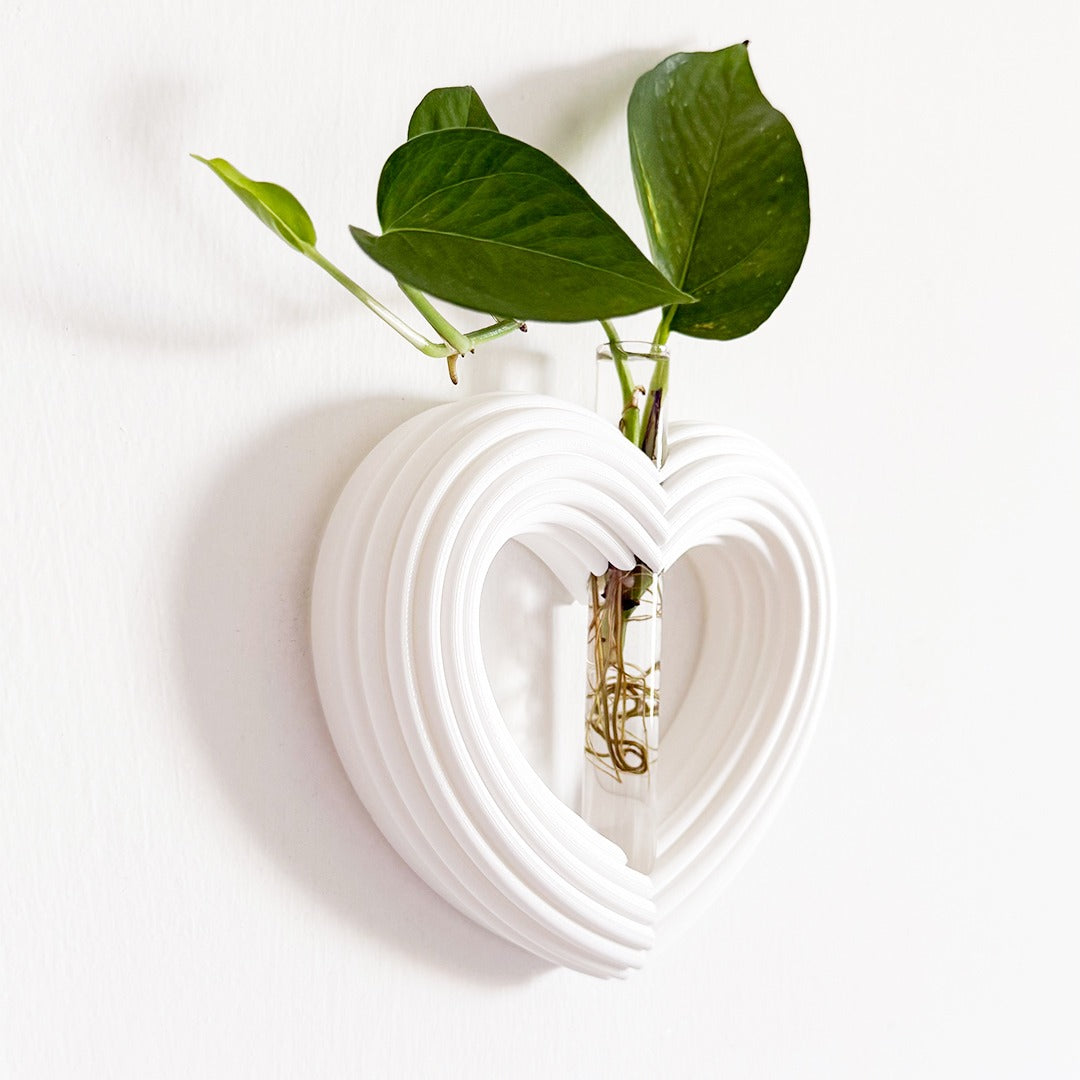 מתקן ייחורים מגנטי/ לתלייה | לב ענק