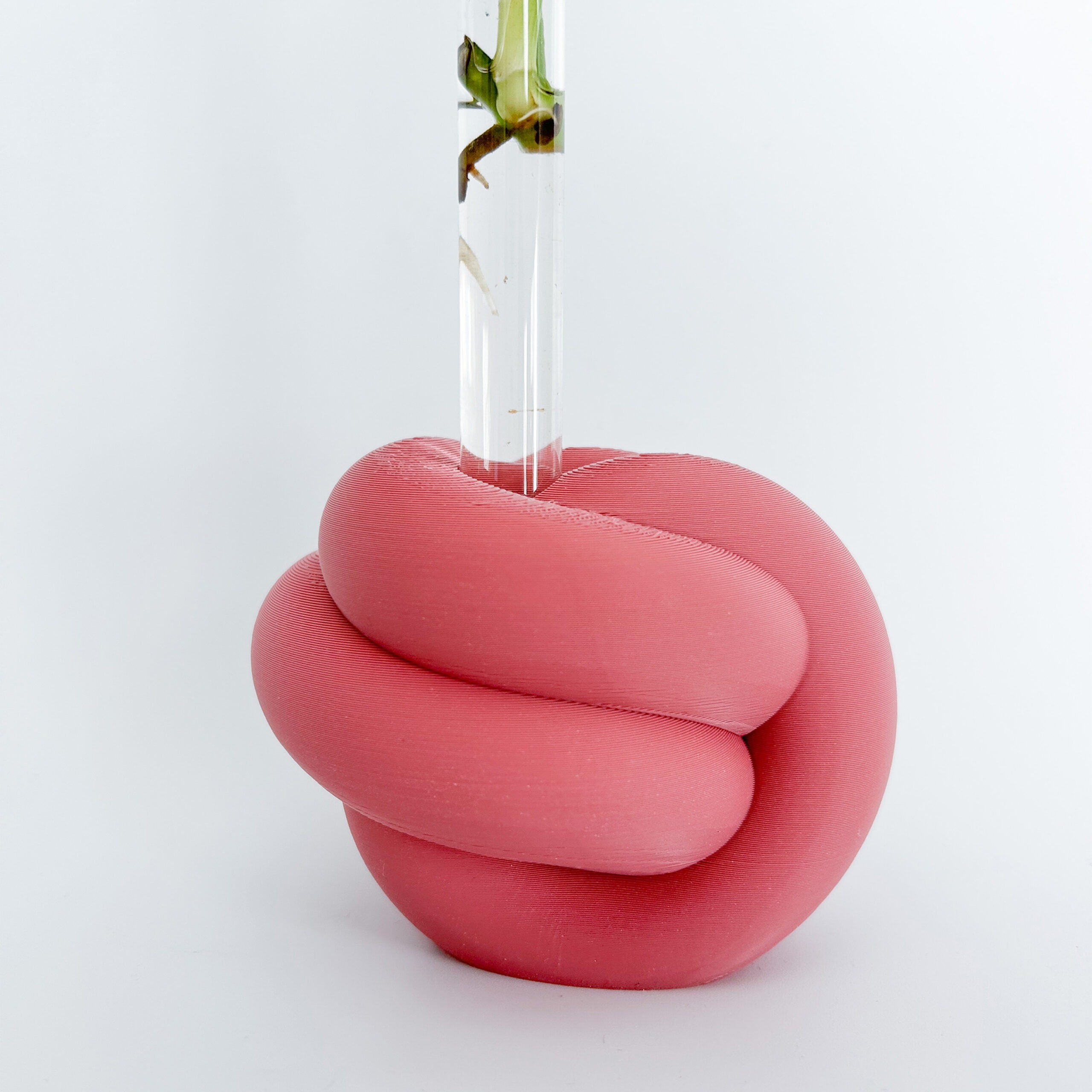 מתקן ייחורים שולחני | KNOT