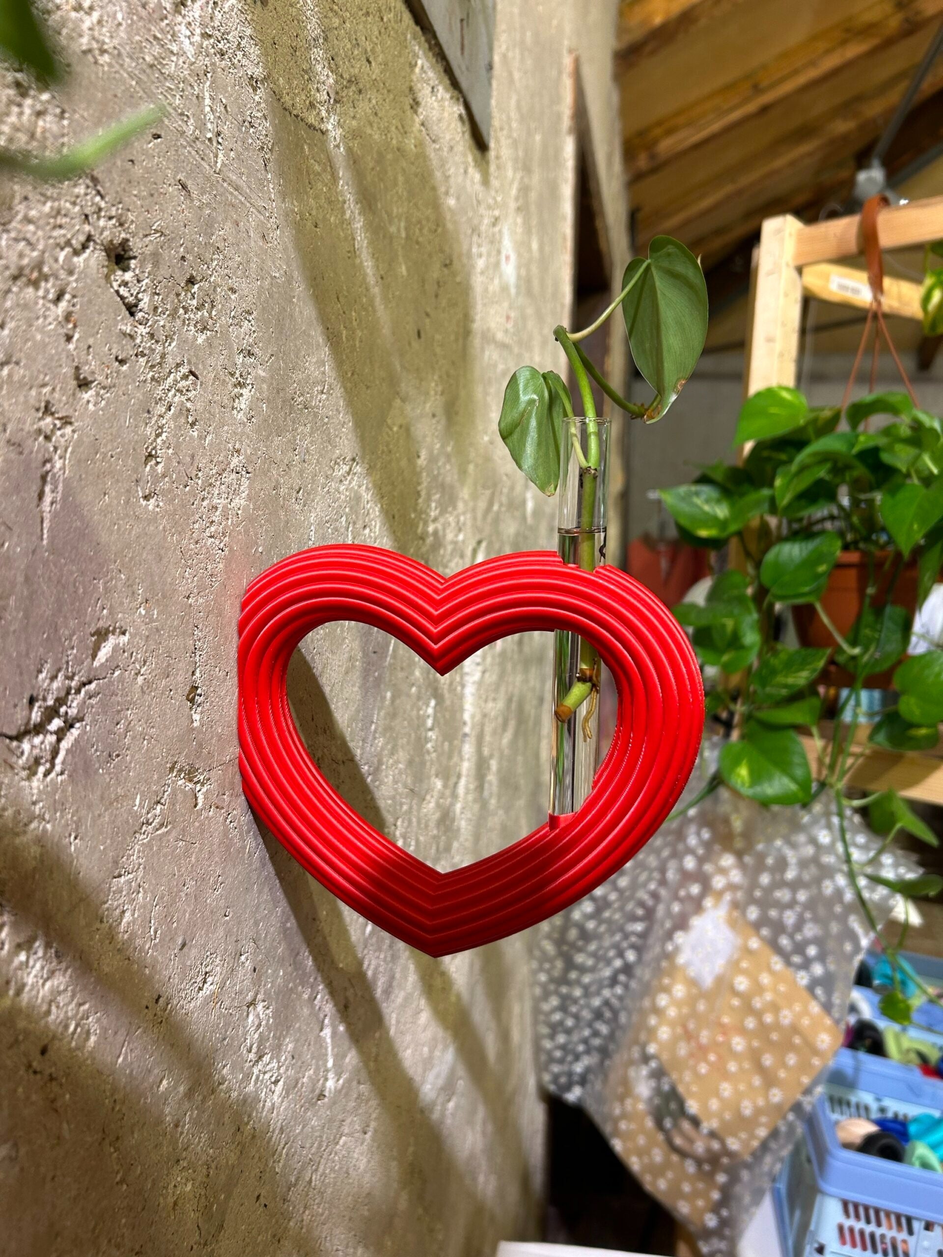 מתקן ייחורים לתלייה | Hook לב XL