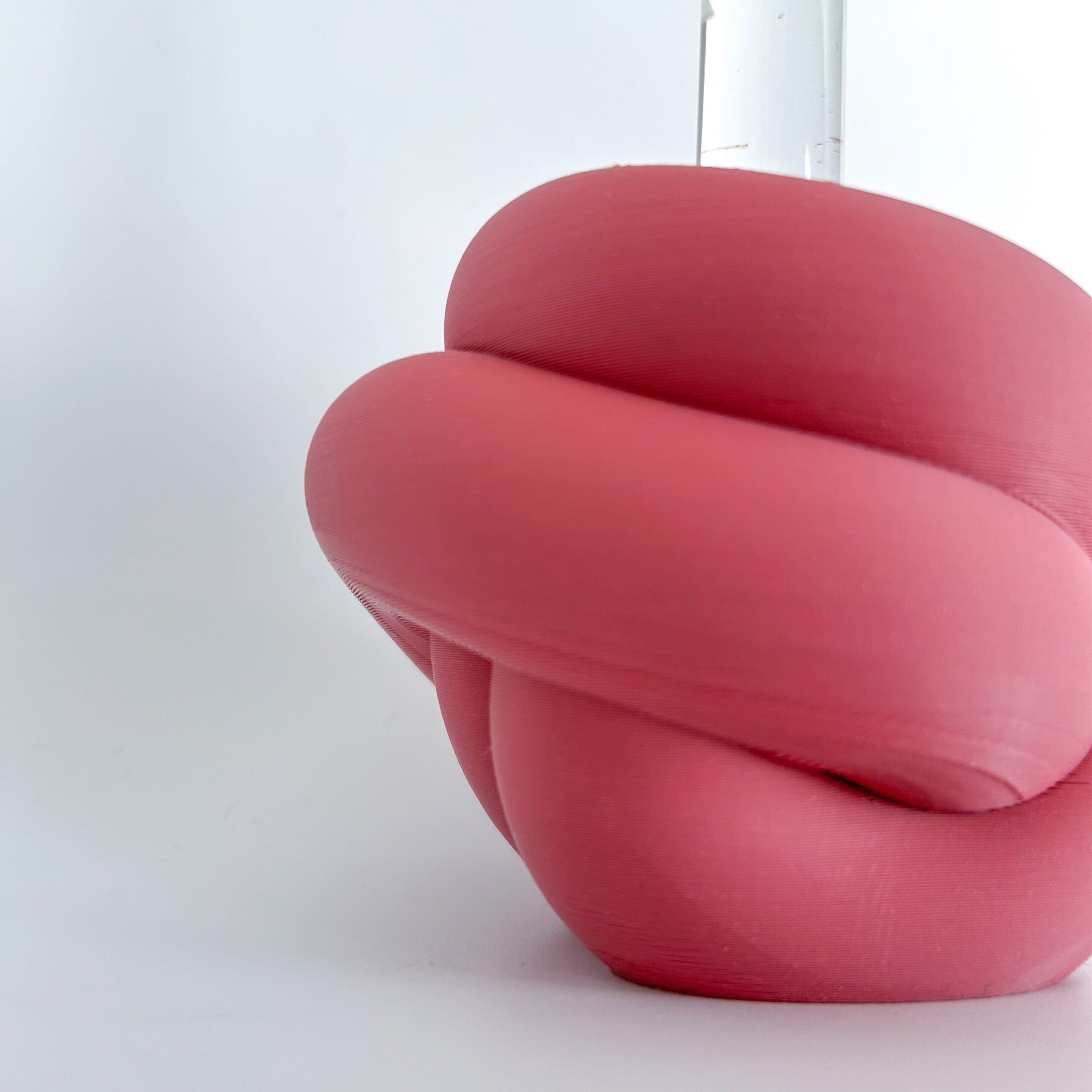 מתקן ייחורים שולחני | KNOT