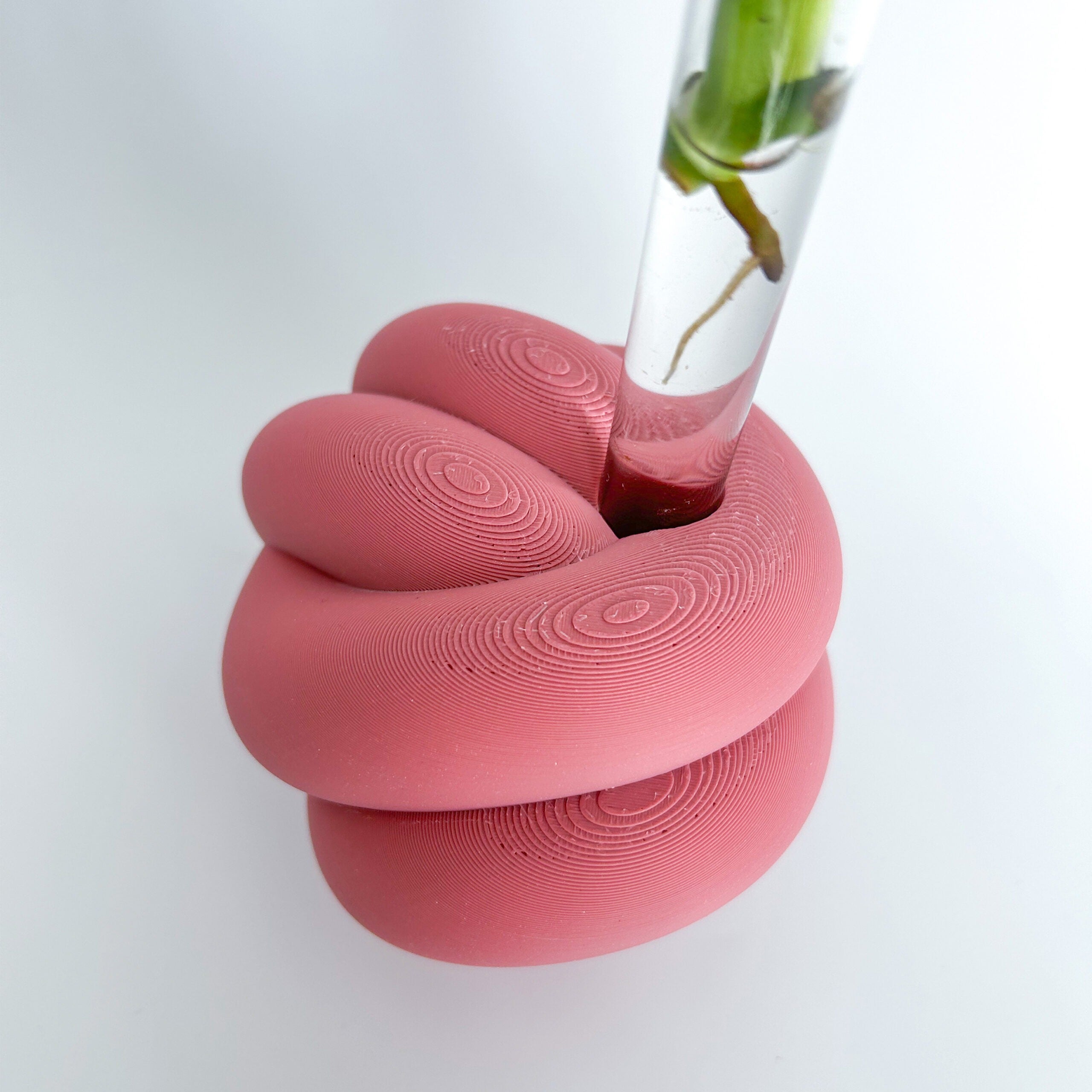 מתקן ייחורים שולחני | KNOT