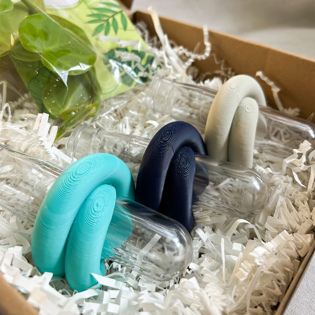 סט שלישיית ייחורונים | המומלצים!