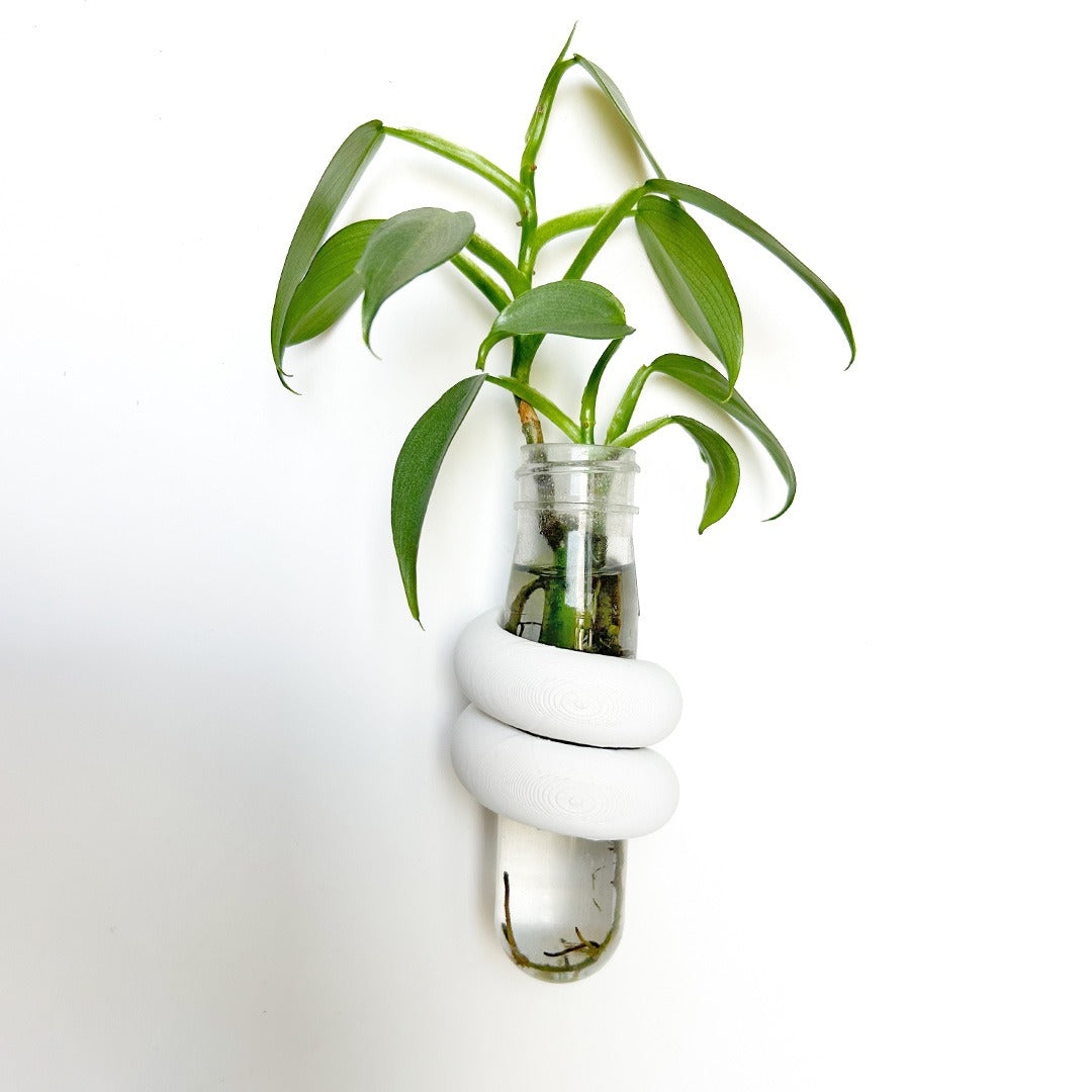 מתקן ייחורים מגנטי | האג