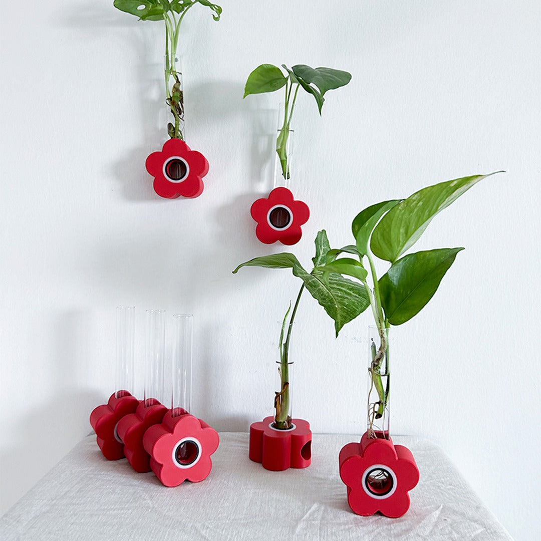 מתקן ייחורים משולב: שולחני, מגנטי ותלוי | כלנית