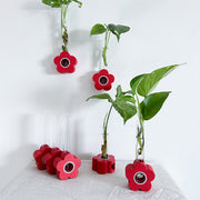 מתקן ייחורים משולב: שולחני, מגנטי ותלוי | כלנית