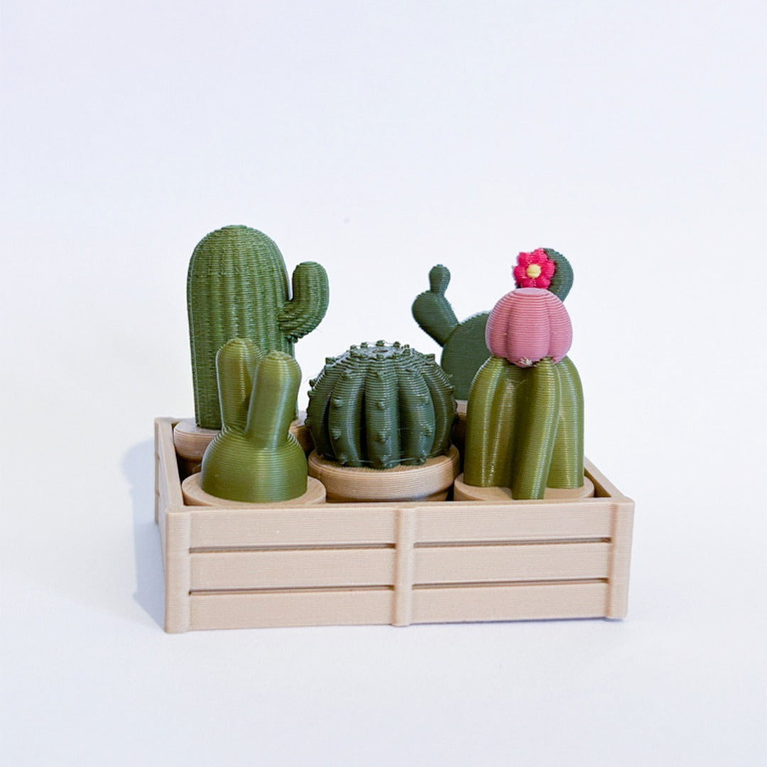 מגנט סוקולנט