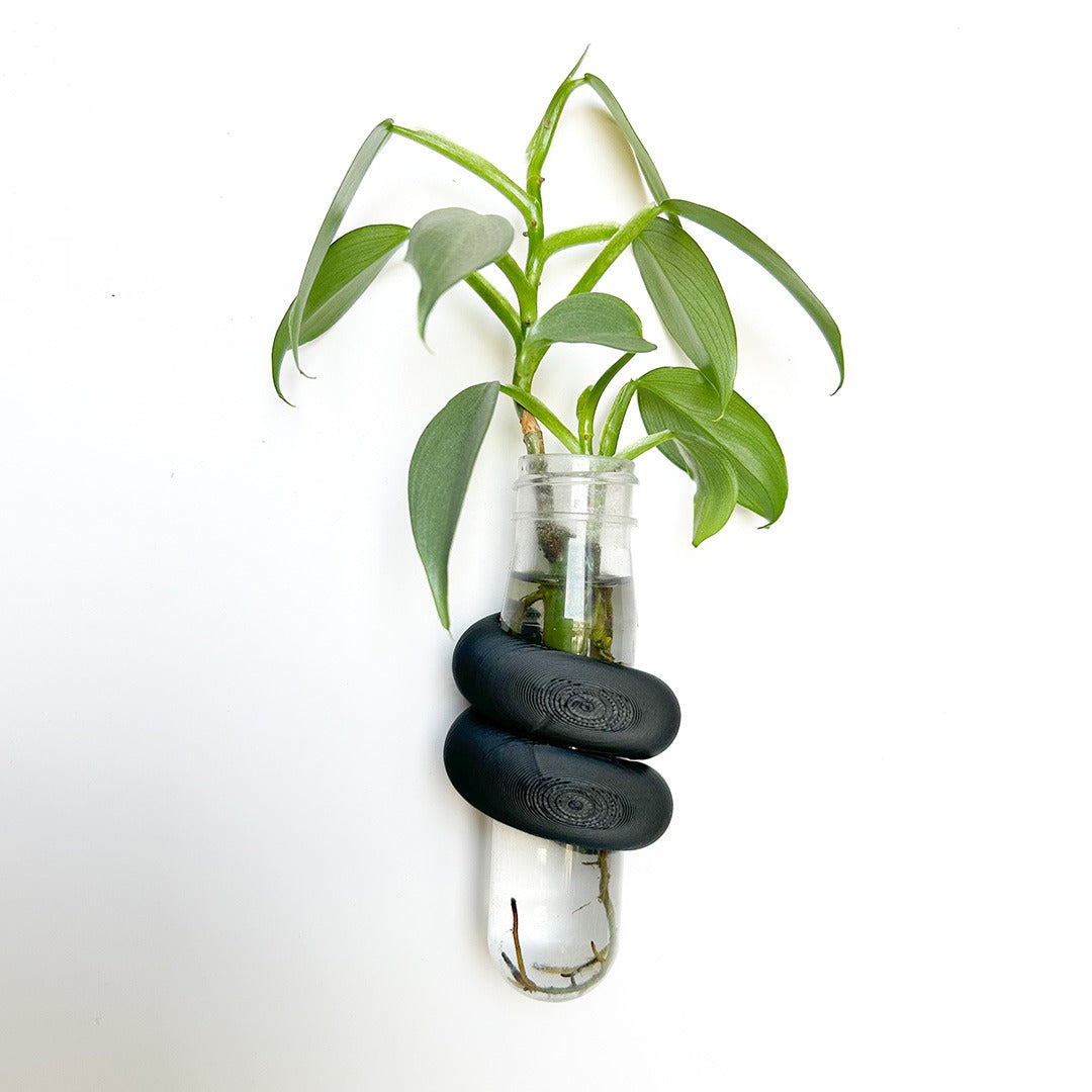 מתקן ייחורים מגנטי | האג