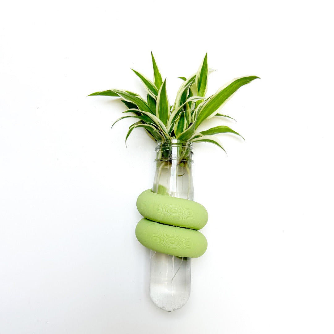 מתקן ייחורים מגנטי | האג